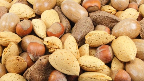 Acomo uit Rotterdam haalt Italiaans notenbedrijf binnen