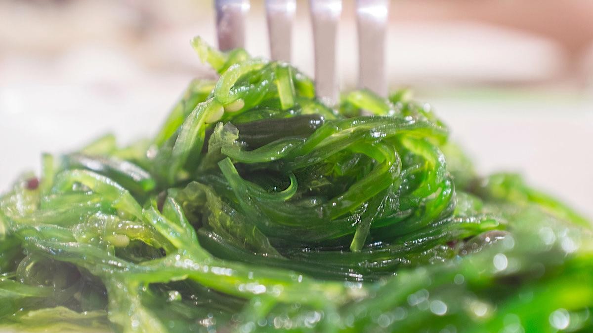 Belgisch supermarktconcern ziet heil in Hollands zeewierbedrijf