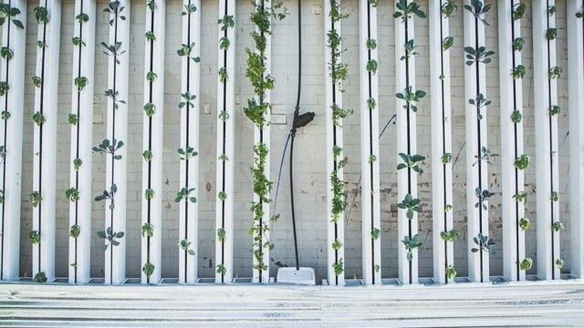 50 miljoen euro voor PlantLab