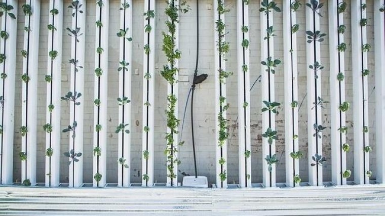 50 miljoen euro voor PlantLab