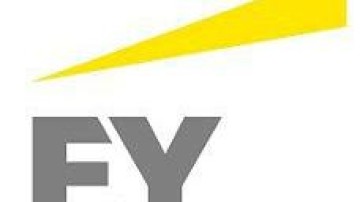 EY koopt data consultancy Bluestone Consulting