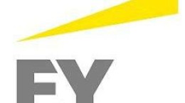 EY koopt data consultancy Bluestone Consulting