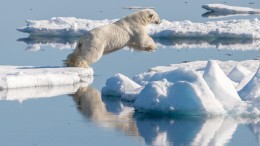 Klimaatverandering prominent op agenda bedrijfsleven