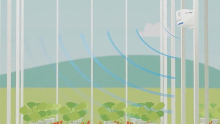 Delfts agri-techbedrijf PATS haalt 2,7 miljoen euro op