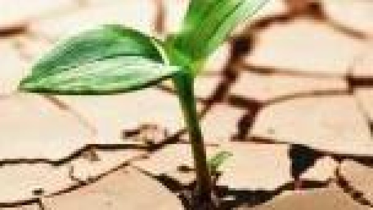 Nederlandse start-ups halen meer geld op in tweede kwartaal