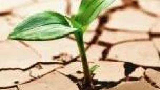 Nederlandse start-ups halen meer geld op in tweede kwartaal