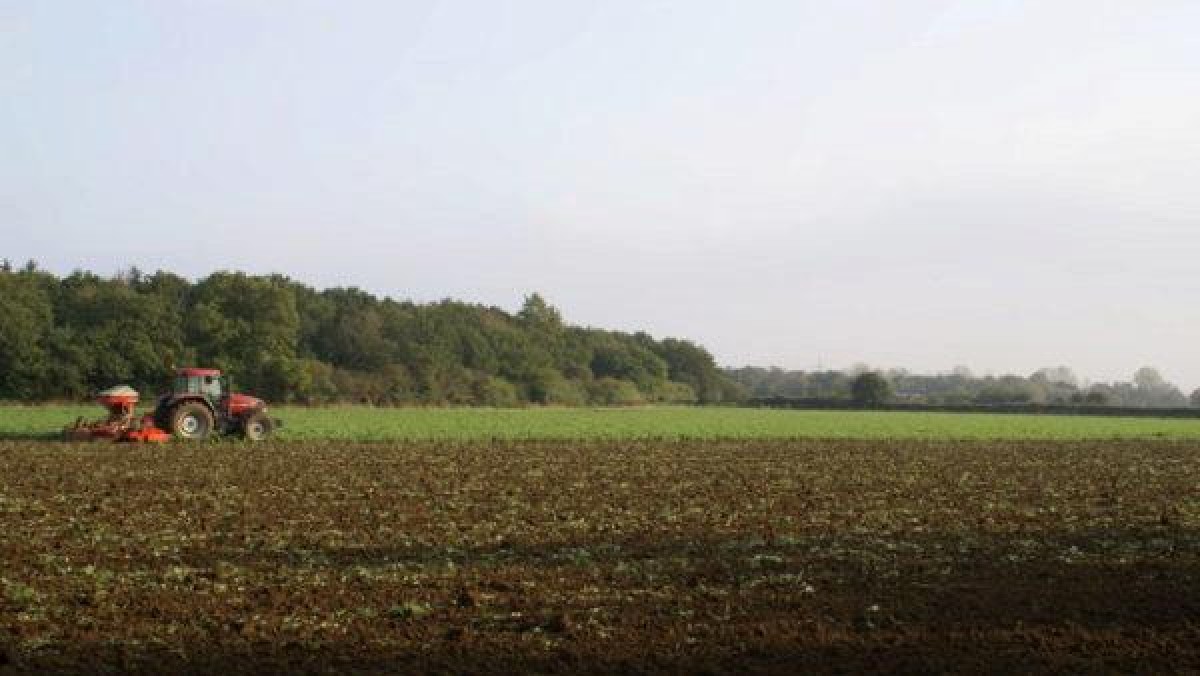 OCI gaat fuseren met CF Industries