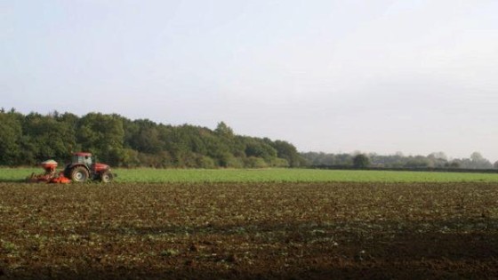 OCI gaat fuseren met CF Industries