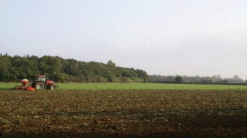 OCI gaat fuseren met CF Industries