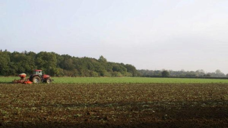 OCI gaat fuseren met CF Industries