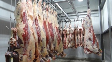 Vion koopt Belgisch runderslachthuis