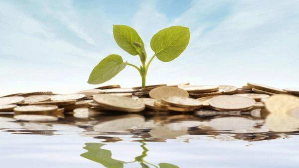 KPMG en CISL willen duurzaamheid bevorderen