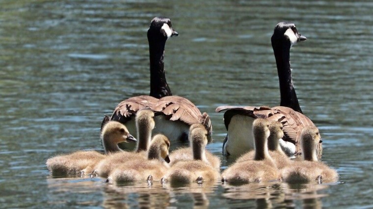 Familiebedrijf presteert buitengewoon sterk