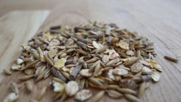 Barentz International doet overname in Canada