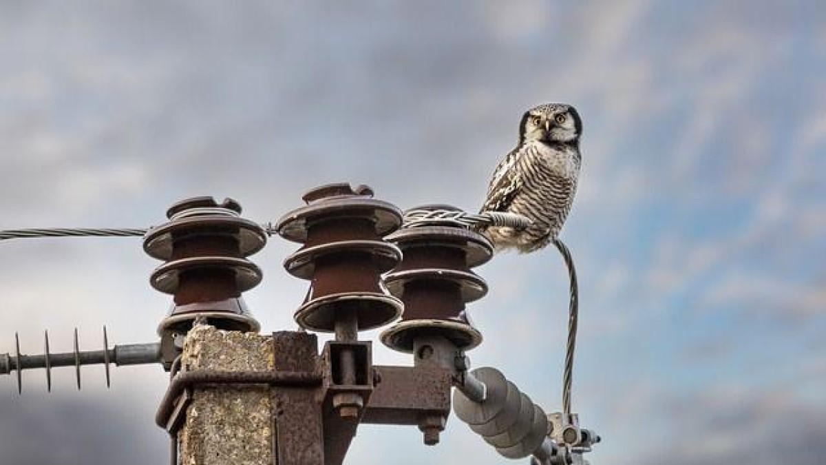 Onderzoek naar overname energiebeurs Nasdaq