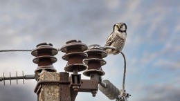Onderzoek naar overname energiebeurs Nasdaq