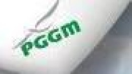 PGGM investeert in Duits windmolenpark