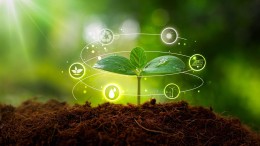 Currentt haalt 1,7 miljoen euro op voor cyberveilig energiemanagementsysteem