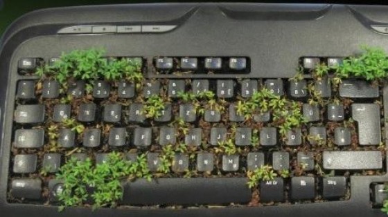 Flex IT neemt Duitse demospecialist MKCL over