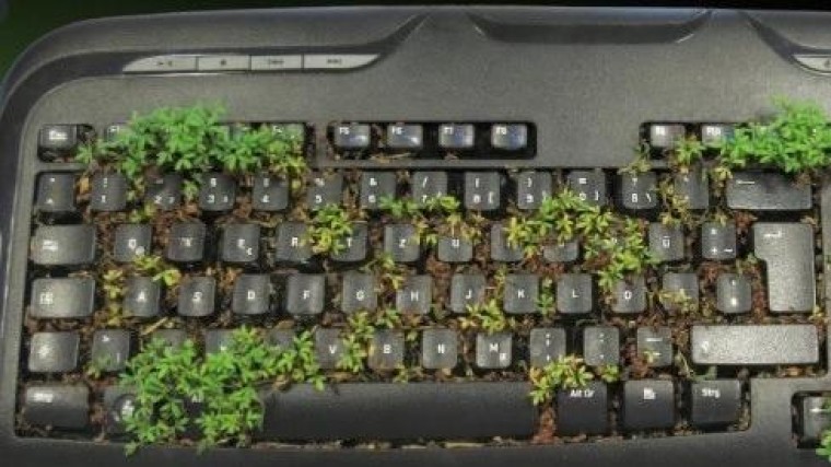 Flex IT neemt Duitse demospecialist MKCL over