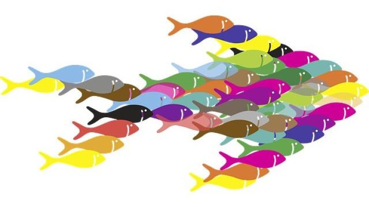 Aeves Groep en Boer & Croon samen verder