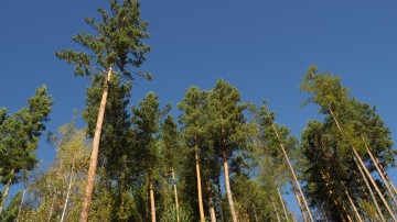 Avedon haalt €300 miljoen op - €50 meer dan verwacht