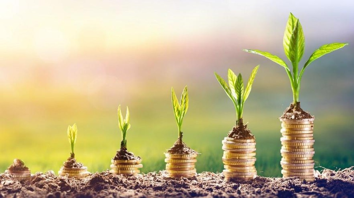 Lessons learned: Impact investing op continentale schaal