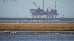 Nederlandse fusie in oliewinning Noordzee