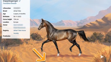 Utrechtse gamestudio strikt investeerder ForsVC