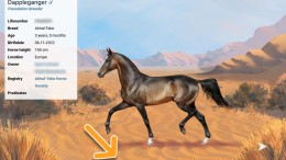 Utrechtse gamestudio strikt investeerder ForsVC