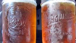 Heineken koopt IPA-marktleider Lagunitas