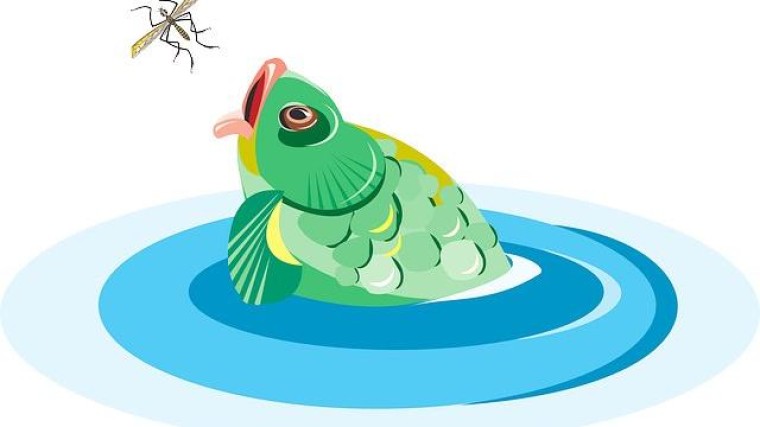 'Nvidia in gevorderde gesprekken rond overname chipbedrijf ARM'