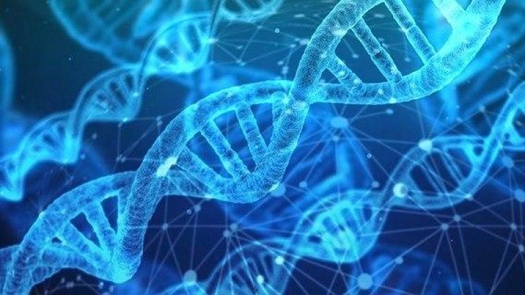 Bayer koopt biotechbedrijf Asklepios