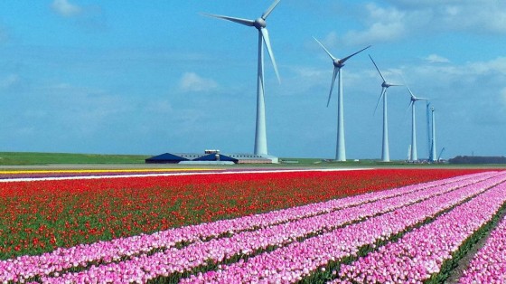 Rabobank gaat voor groen