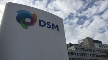 DSM neemt Royal CSK over