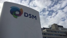 DSM neemt Royal CSK over
