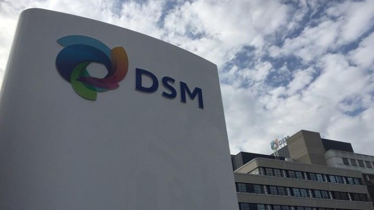 DSM neemt Royal CSK over