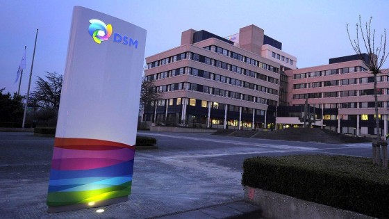DSM kijkt weer naar overnames
