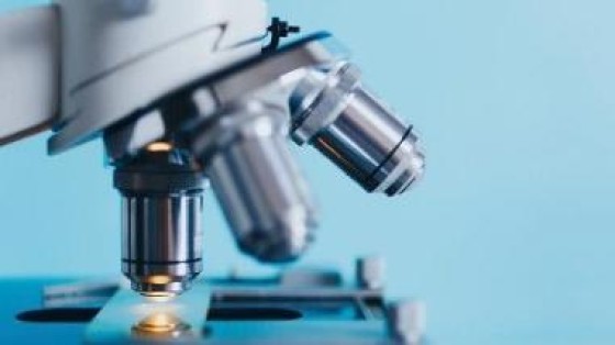 Leidse biotechnoloog VarmX haalt 32 miljoen euro op