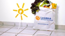 Eneco neemt LichtBlick helemaal over