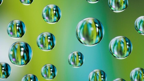 Corbion doet bod op microalgen­specialist TerraVia