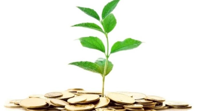 "Minder rendement geen bezwaar voor duurzame belegger"