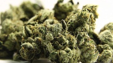 Beleggers wereldwijd worden high van wiet