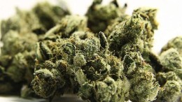 Beleggers wereldwijd worden high van wiet