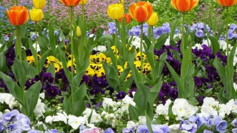 Bloemenbezorger haalt miljoenen op bij investeerders