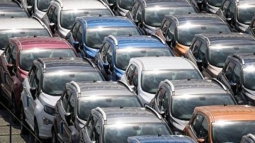 Louwman Group neemt Orange Motors over