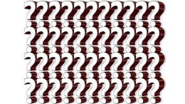 Holland Capital verkoopt belang in Valori