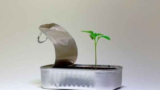 Investeringen in Nederlandse start-ups nemen steeds verder toe