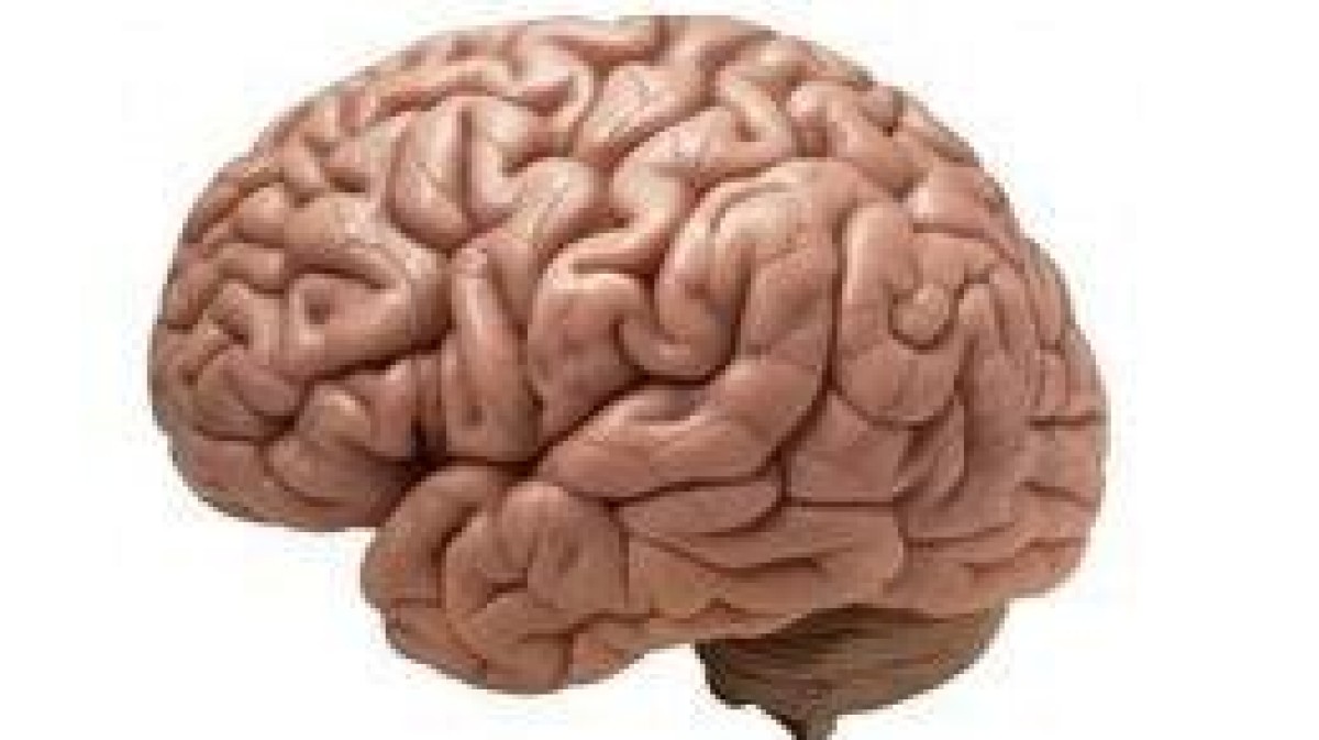 LSP, INKEF en Gilde realiseren exit Sapiens voor 150 miljoen