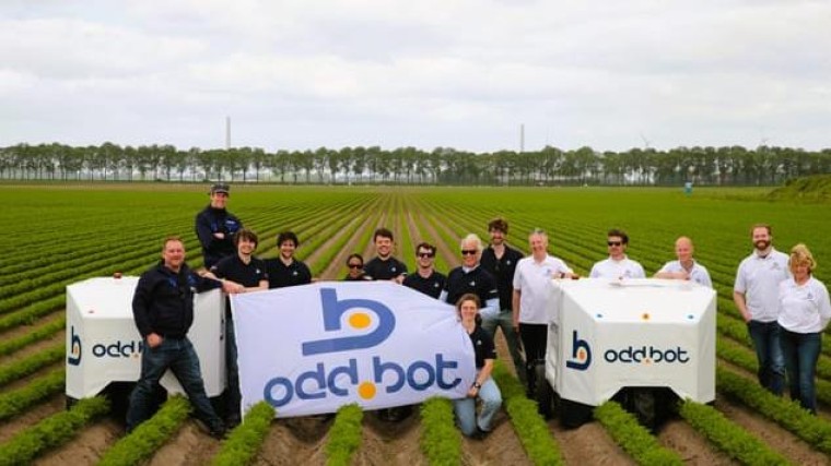 Investeerders vervangen de subsidiepotjes bij Odd.bot